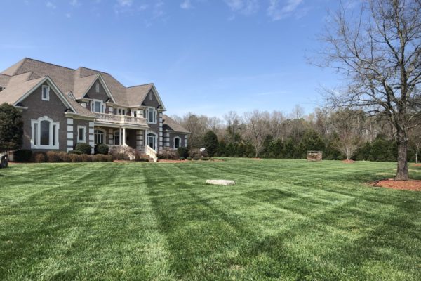 Charlotte Landscaping Services | Wise Cut Landscaping