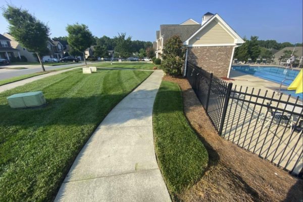 Charlotte Landscaping Services | Wise Cut Landscaping
